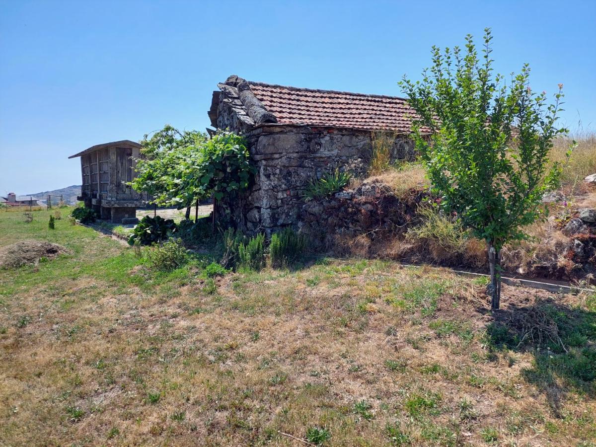 Casa Do Sobrado Arouca Villa Екстериор снимка